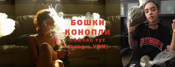 гашик Белоозёрский